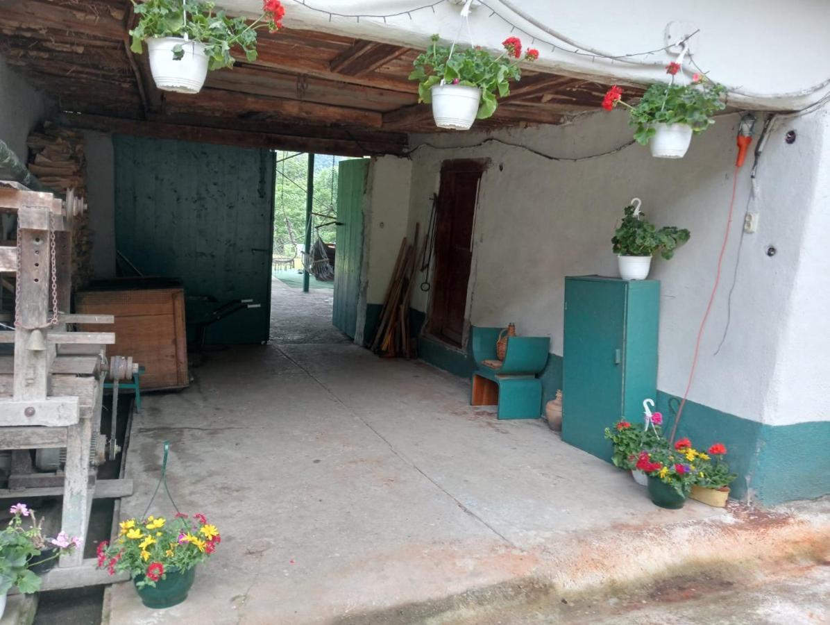 Hello Nature House - Cheile Nerei, Carasului, Garlistei Giurgiova ภายนอก รูปภาพ
