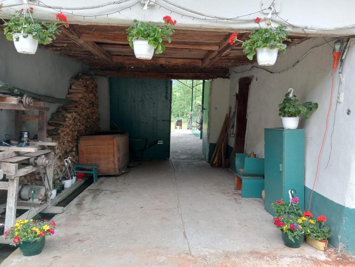 Hello Nature House - Cheile Nerei, Carasului, Garlistei Giurgiova ภายนอก รูปภาพ